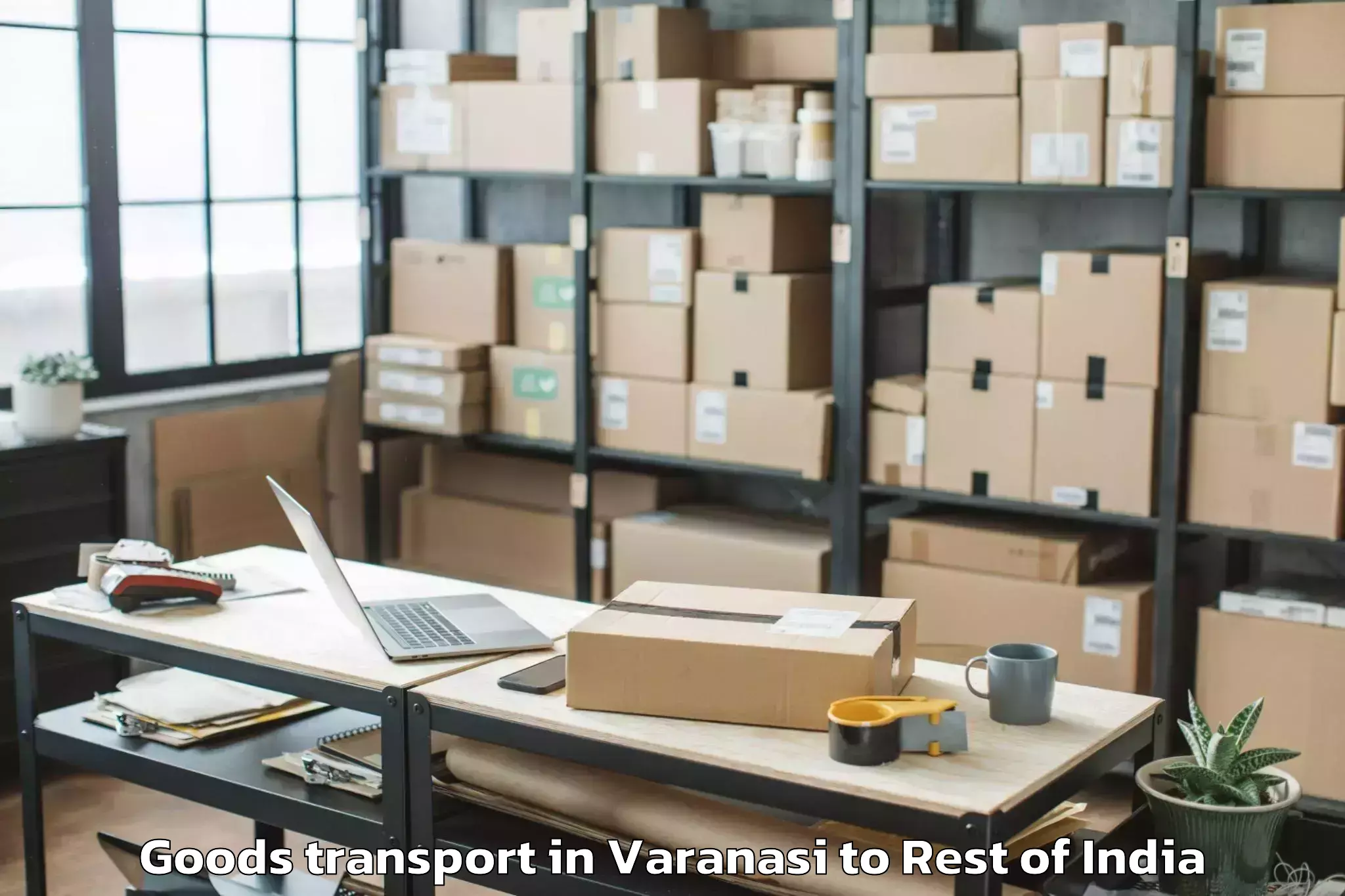 Affordable Varanasi to Peddamandaddi Goods Transport